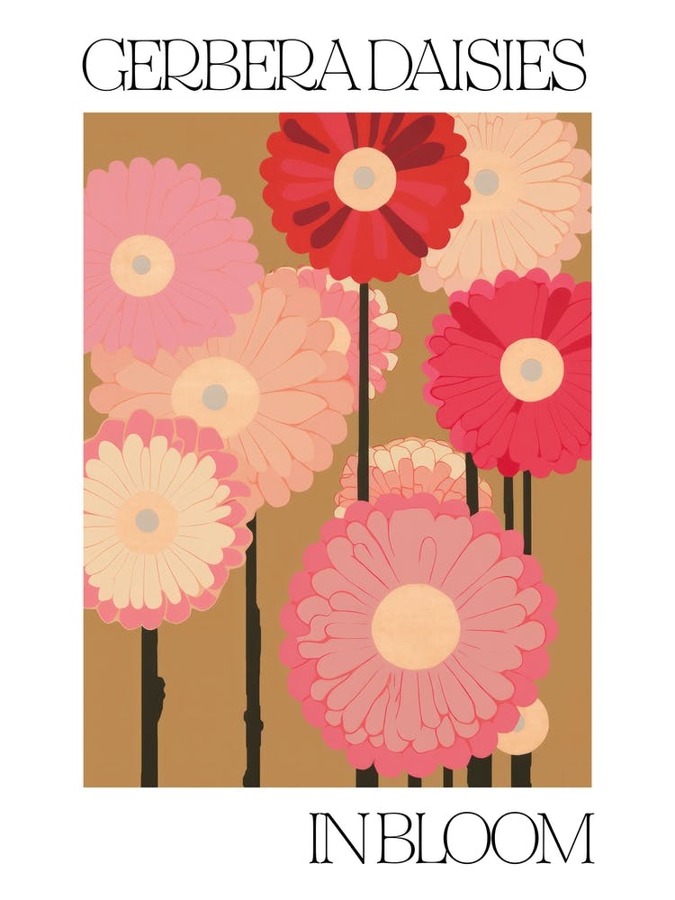 Gerbera Daisies In Bloom Flowers Bold Illustration 1
