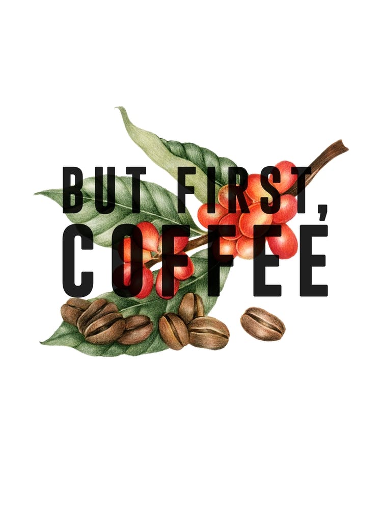 But First Coffee Beans