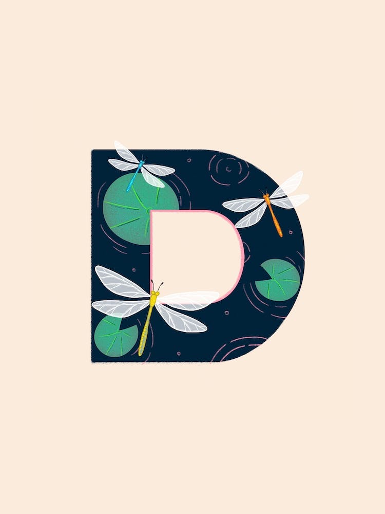 Letter D Dragonfly