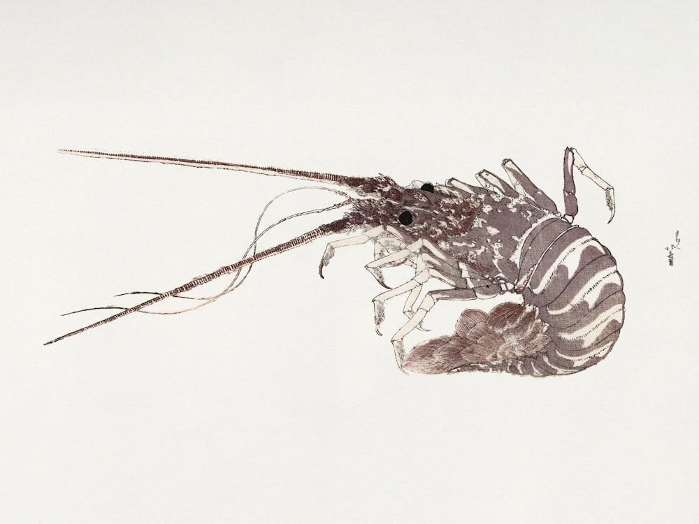 Large Lobster, Katsushika Hokusai