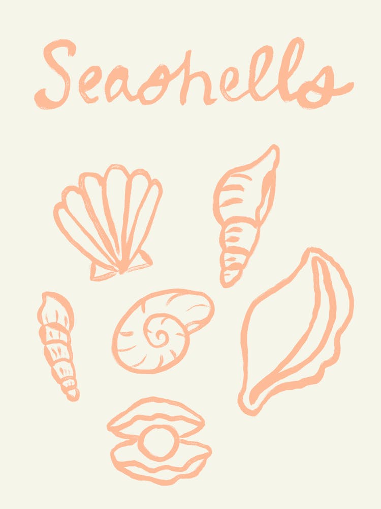 Seashell Doodles, Seashell Line Art, Minimalism Seashell Design 3