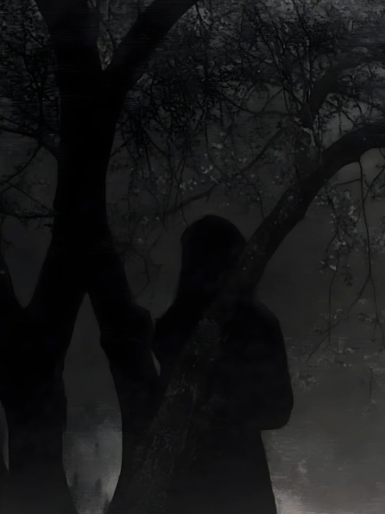 Dark Forest