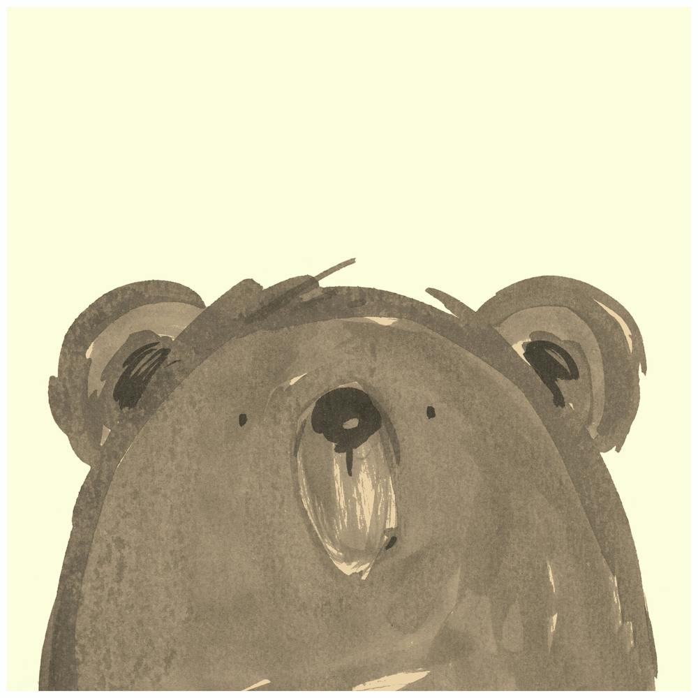 Bear Character 2