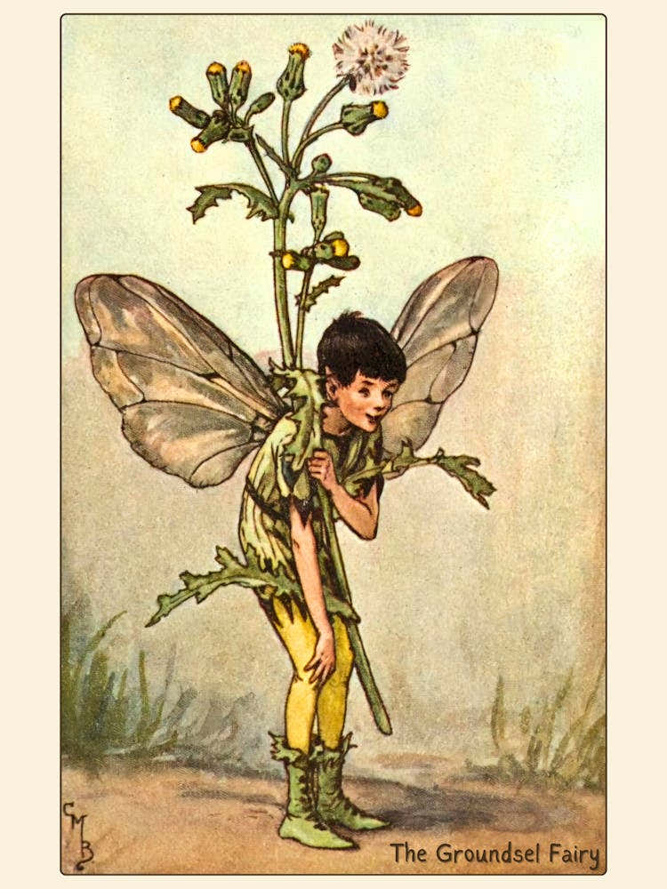 The Groundsel Fairy - Victorian Winter Faries Art by Cicely Mary Barker