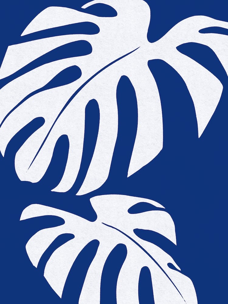 Monstera leaves on royal blue