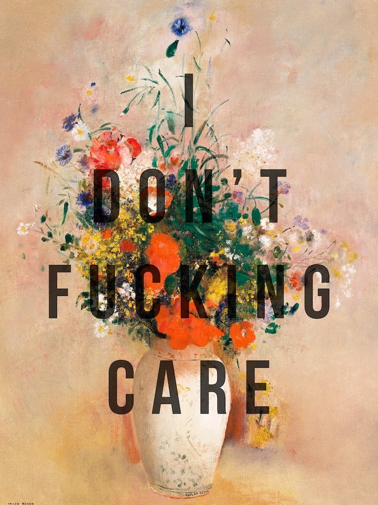 I Dont Fucking Care