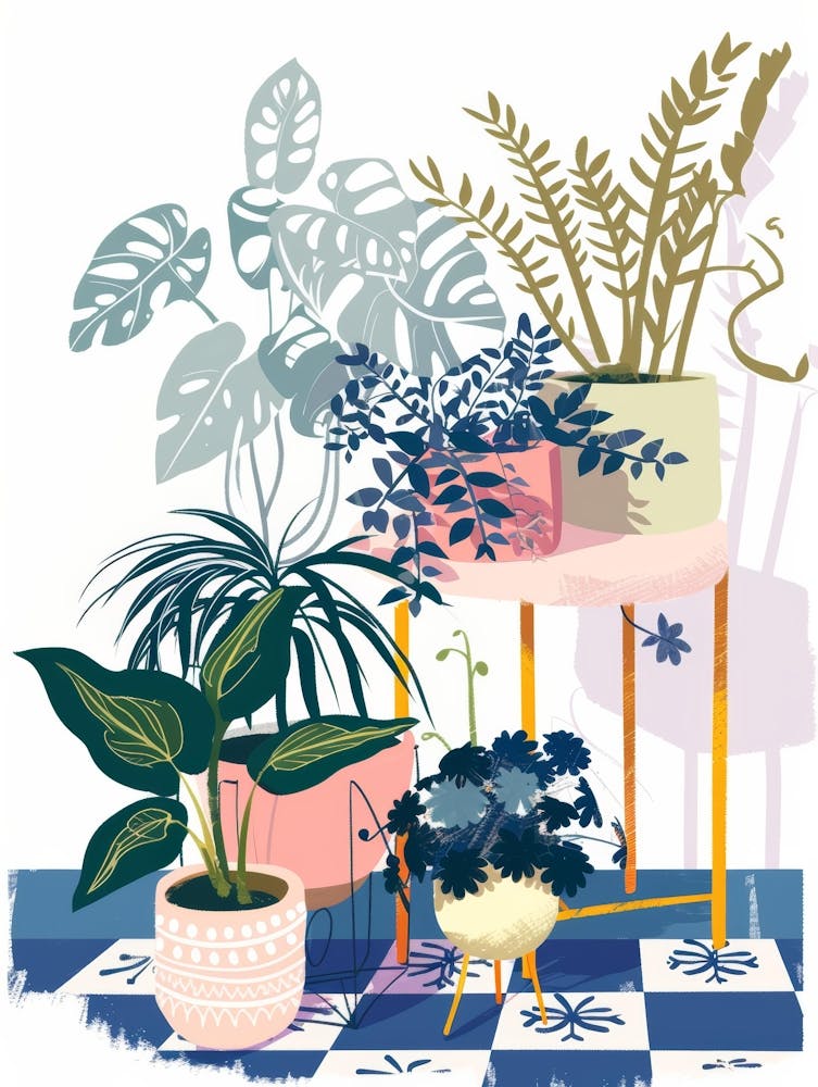 Houseplants 10