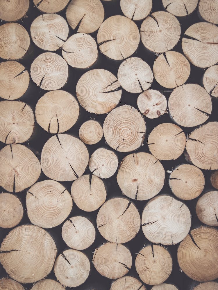 Stack Of Logs