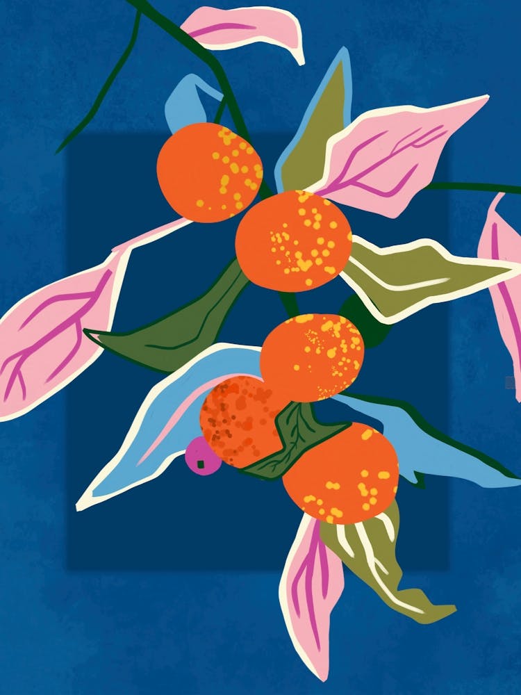 Lush Orange Botanicals