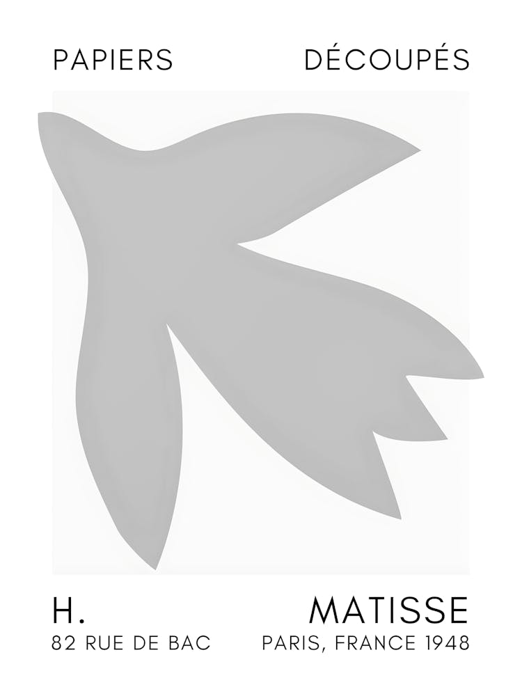 Matisse 3