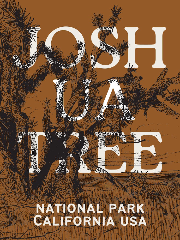 Joshua Tree National Park | California Desert Travel Landscape Scenery 6