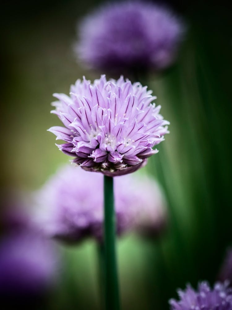 All Alone With My Thoughts