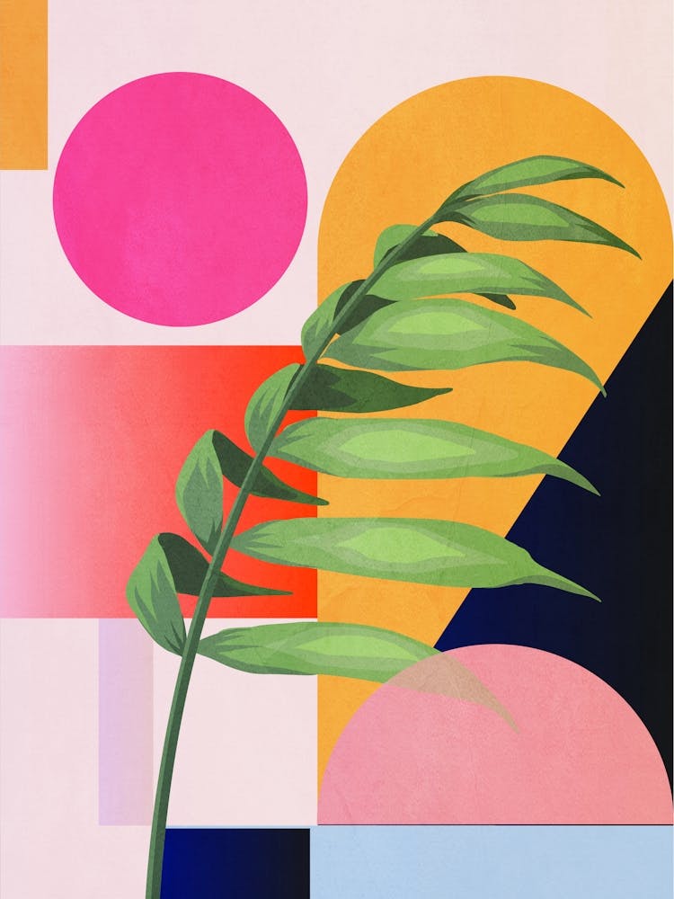 Tropical Geometry 40