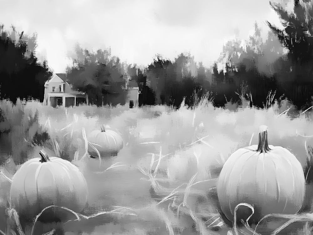 Black And White Pumpkins 23
