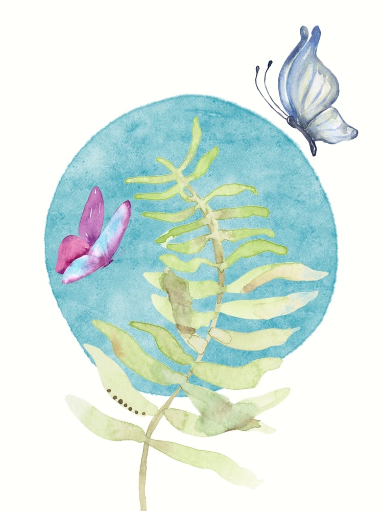 Butterflies And Fern