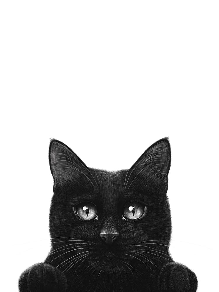Spähende schwarze Katze mit Pfoten