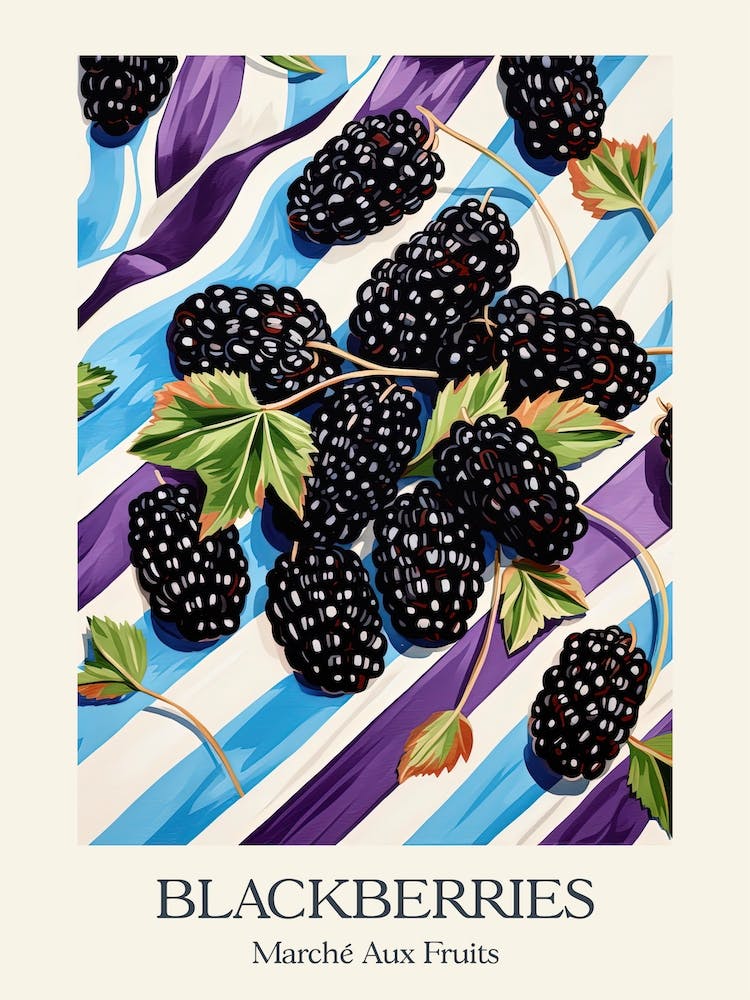 Marche Aux Fruits Blackberries Fruit Summer Illustration 1