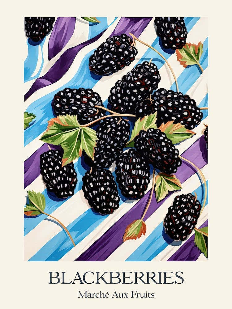 Marche Aux Fruits Blackberries Fruit Summer Illustration 1