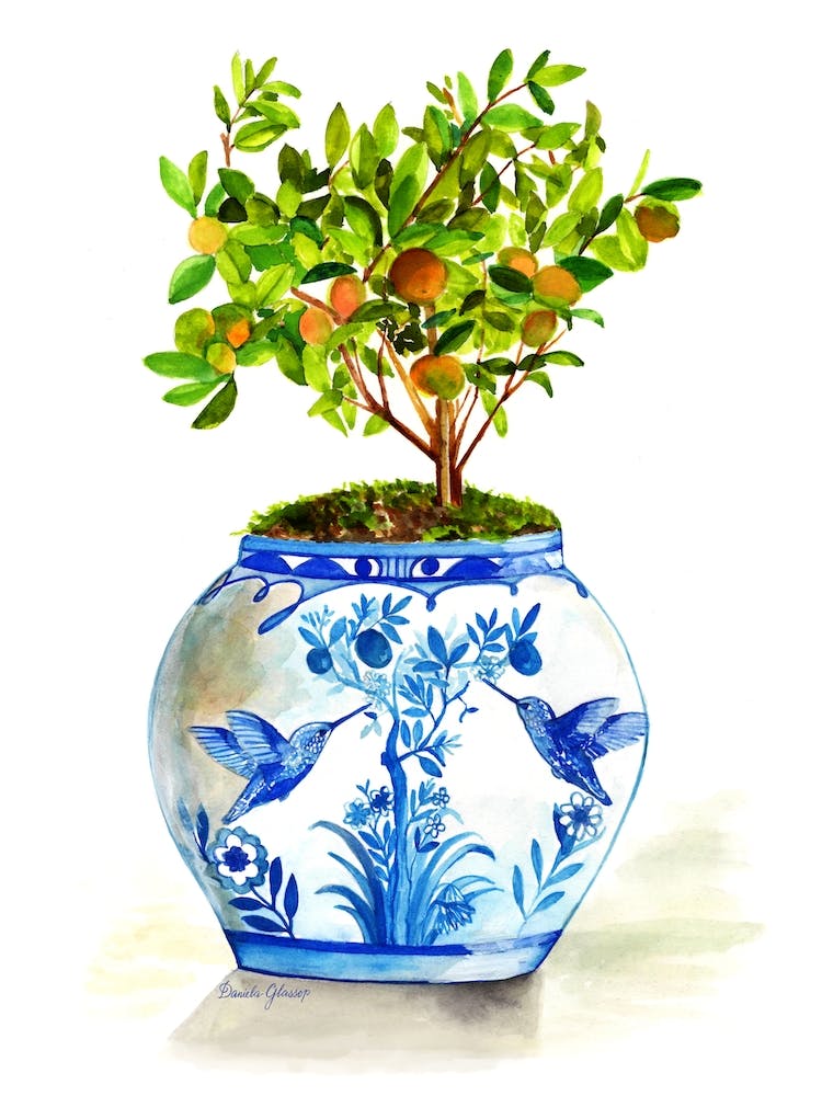 Orange Tree In Blue And White Porcelain
