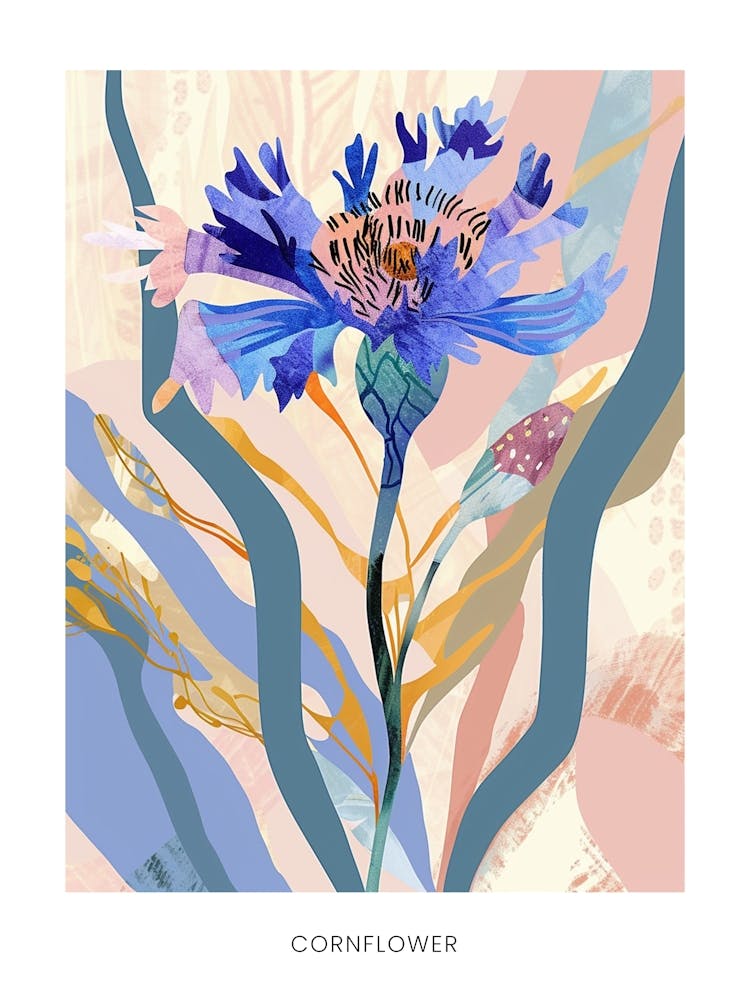 Colourful Flower Illustration Poster Cornflower 1