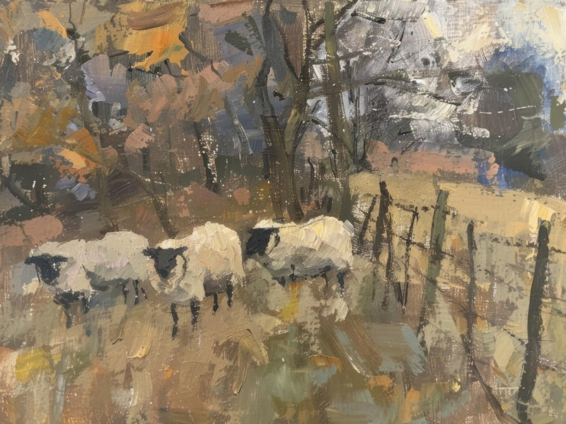 Sheep In The Field 2