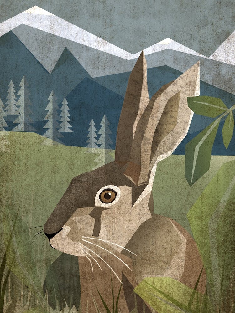 Illu Rabbit