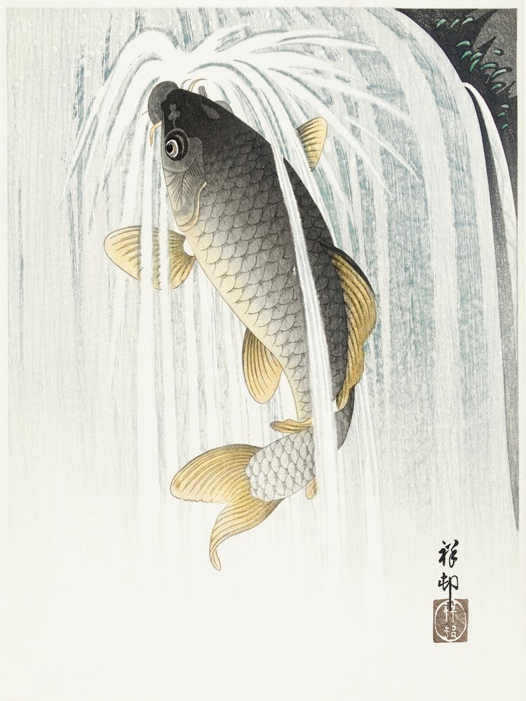 Carp (1935), Ohara Koson