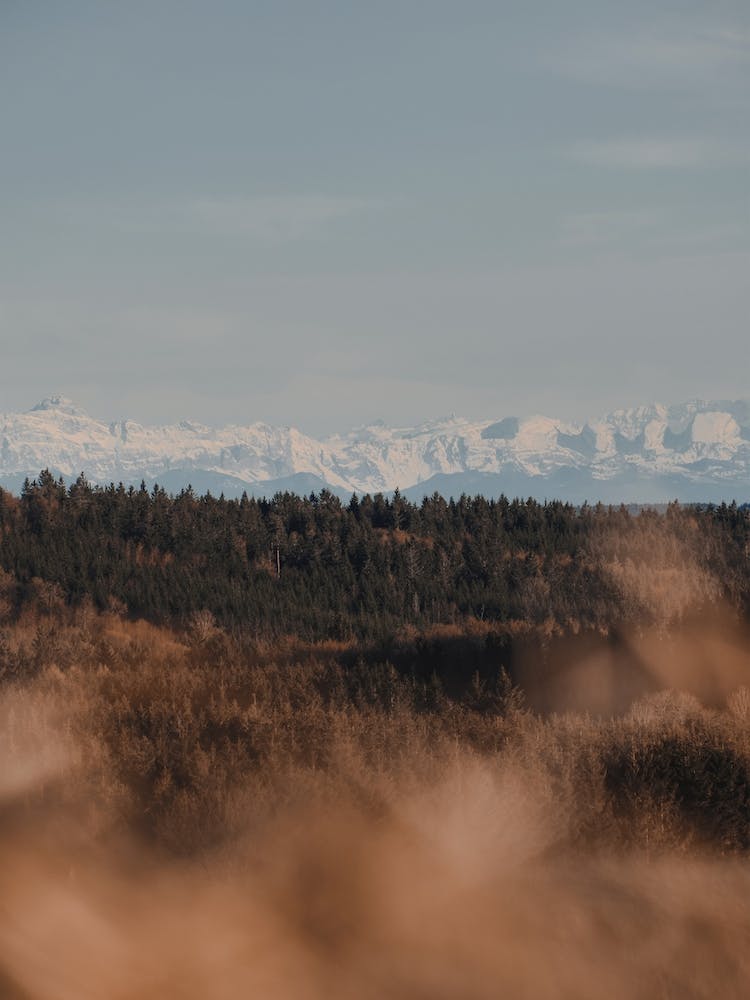 Snow Capped Mountain Scenery