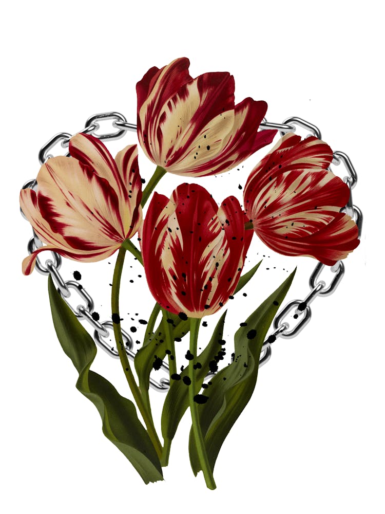 Heart Tulips