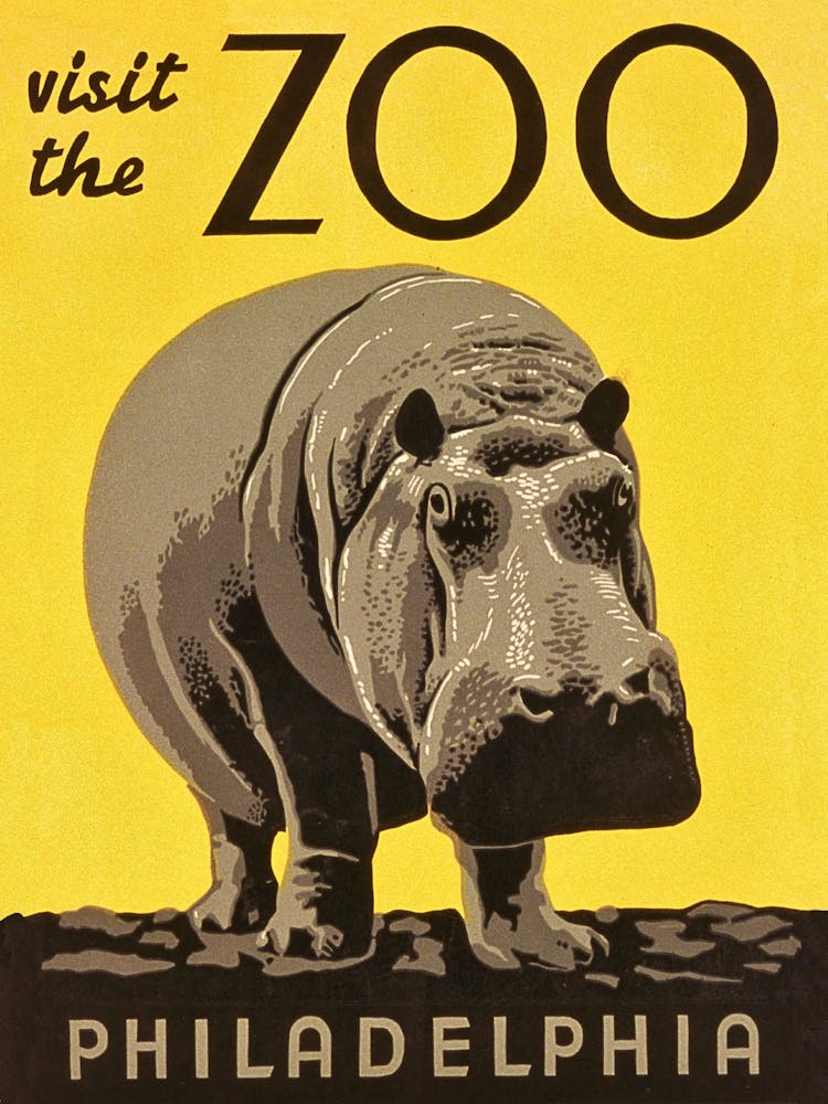 Hippo In Philadelphia Zoo, Vintage Poster