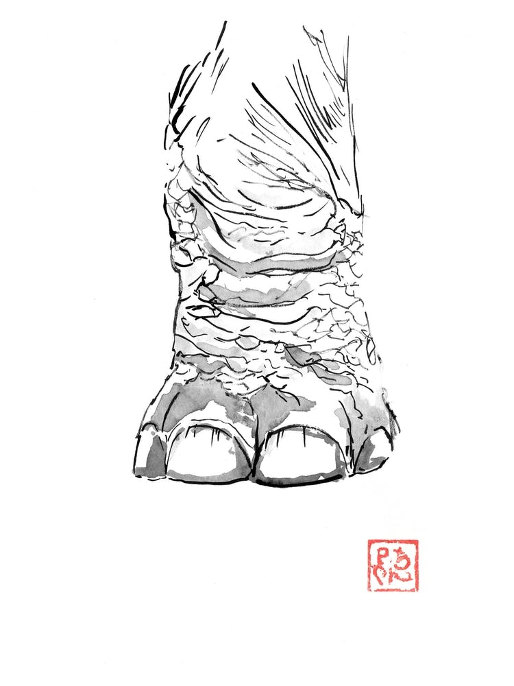 Elephant Foot