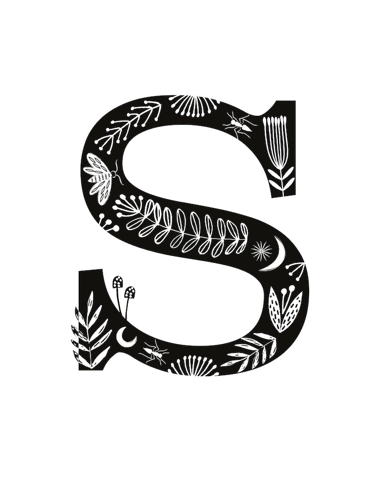 Letter S