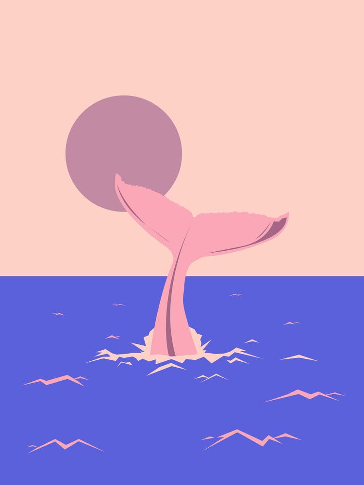 Whale Tail at sunrise