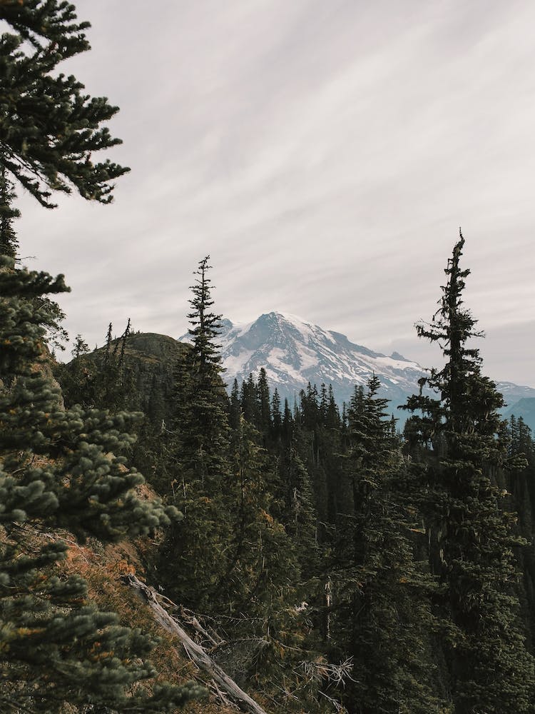 Oregon Mountain Scenery