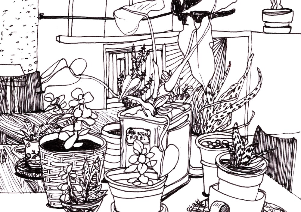 Succulent Gathering
