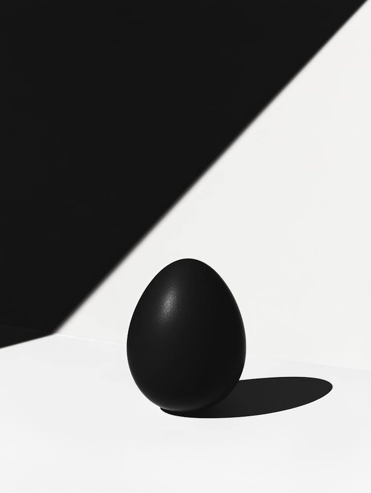 Black Egg