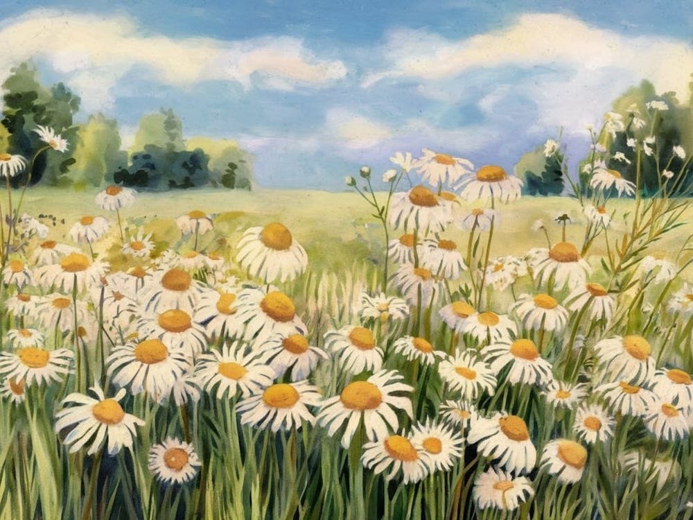 Daisy Field 1