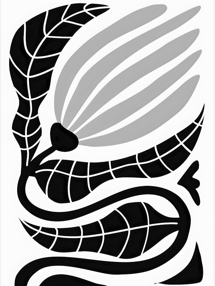 Black And White Flower 64