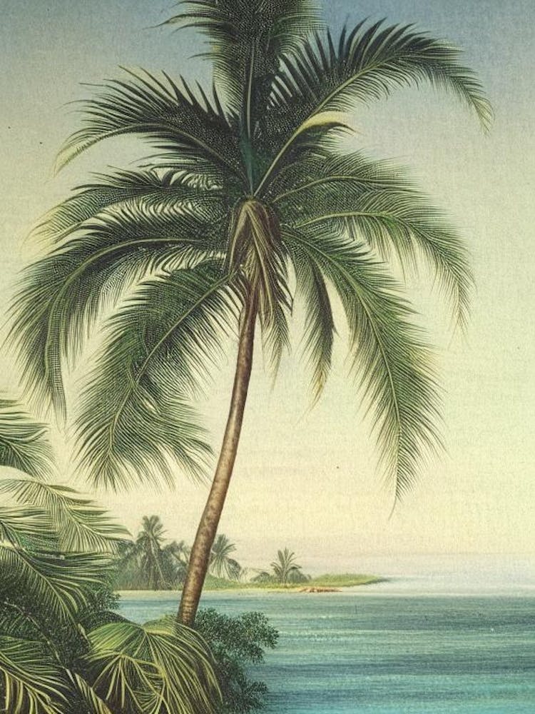 Ripples In Ocean Landscapes Waterscape Vintage Illustration 1