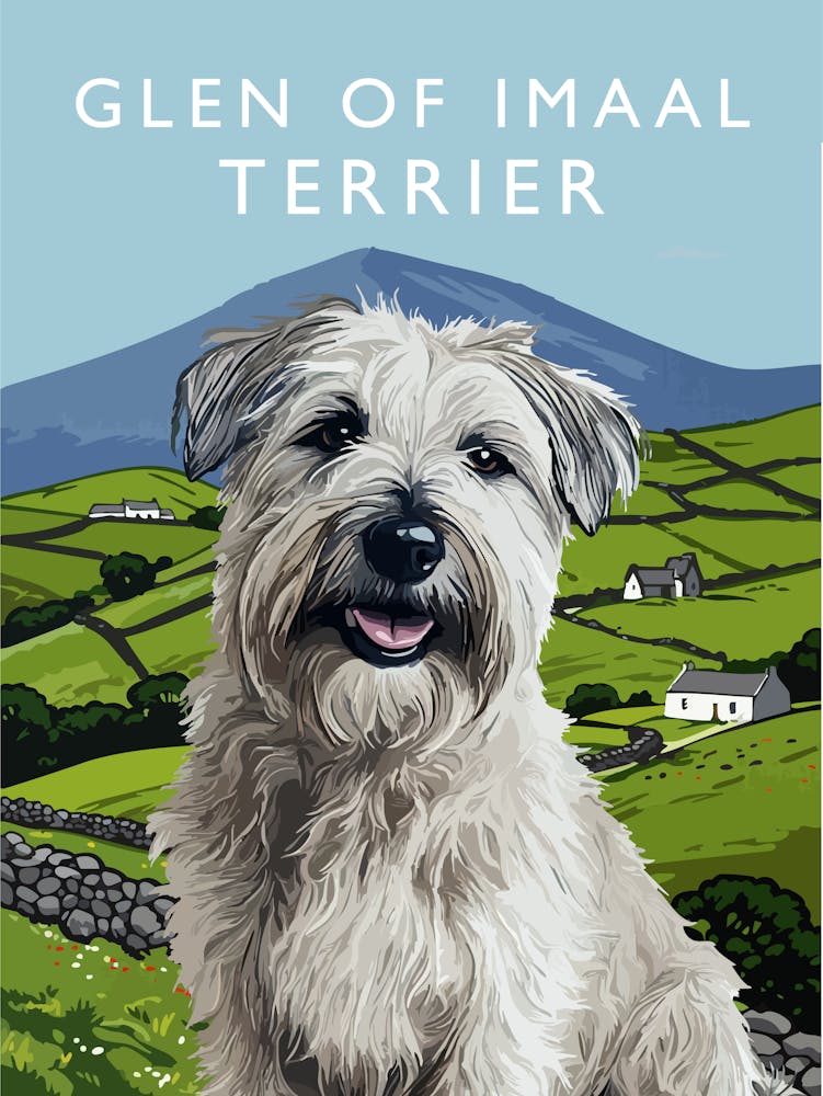 Glen Of Imaal Terrier