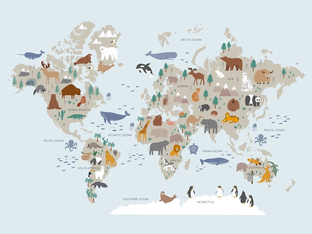 Kids World Map With Animals In Blue