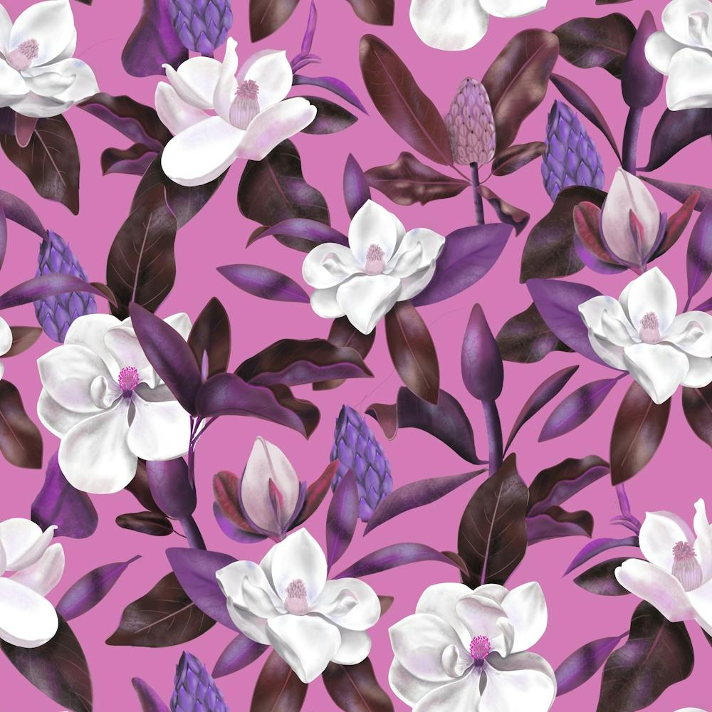 Magnolias Flowers Magenta
