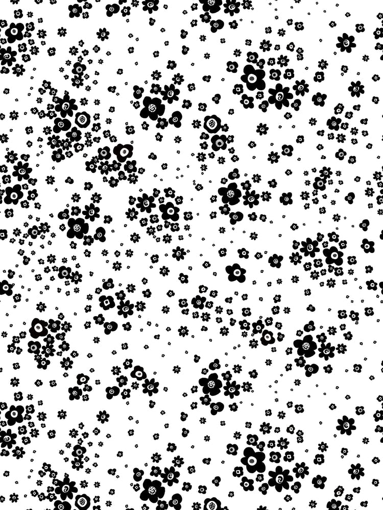Black White Flowers