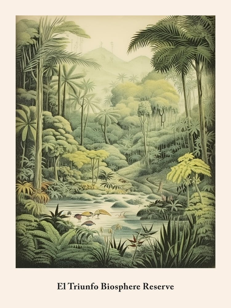 El Triunfo Biosphere Reserve
