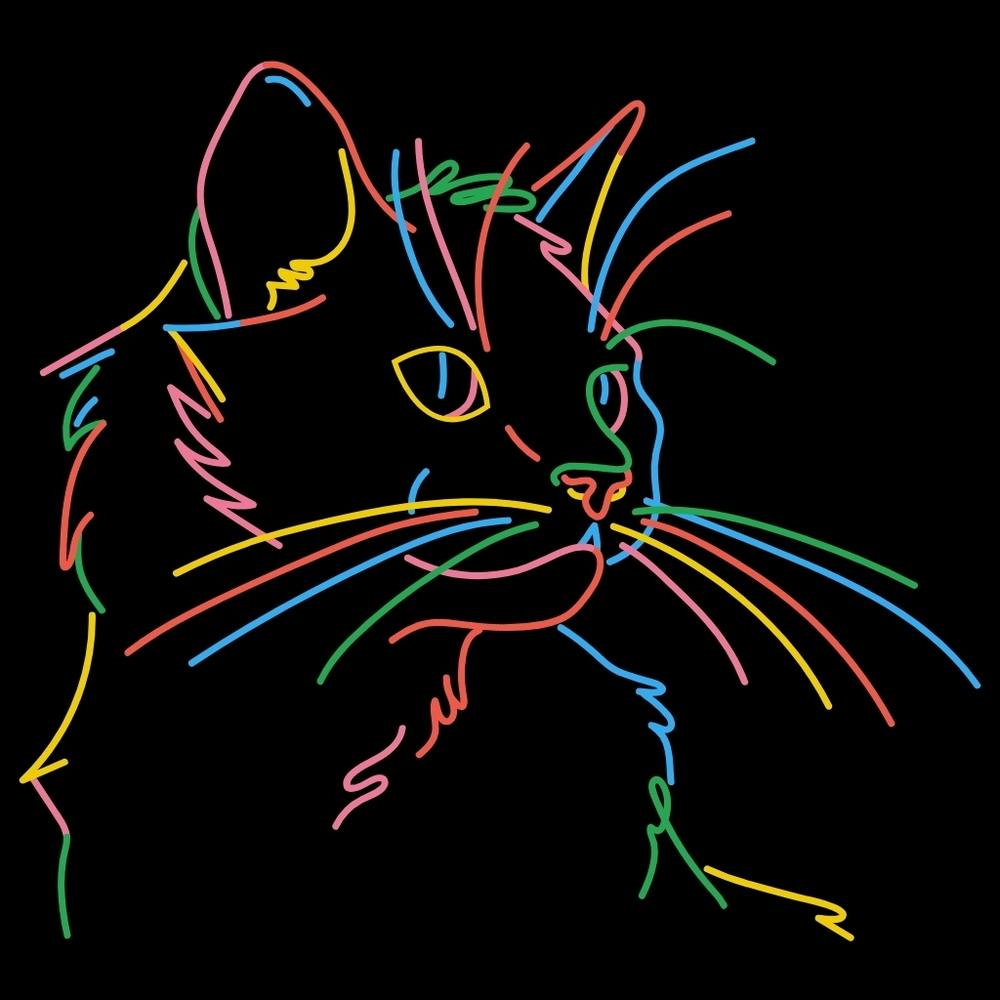 Vibrant Illumination: Exploring the Allure of the Neon Cat Art