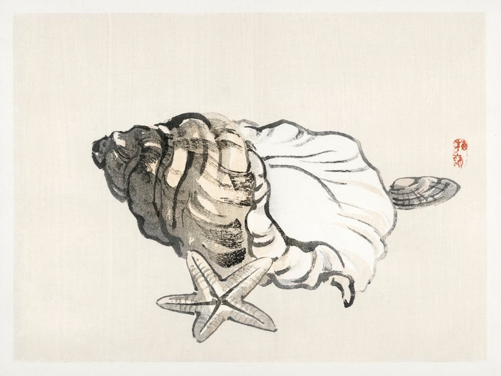 Star Fish And Conch, Kōno Bairei