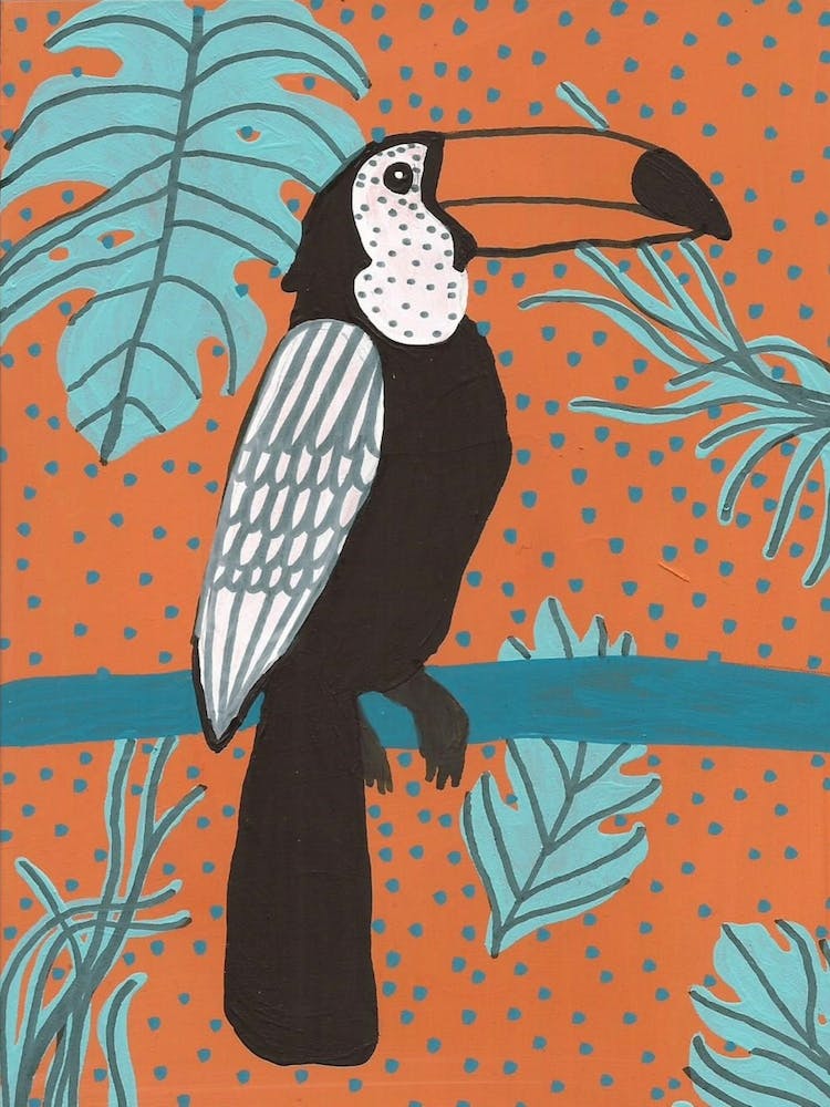 Toucan