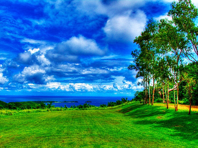 Green Grass And Blue Sky