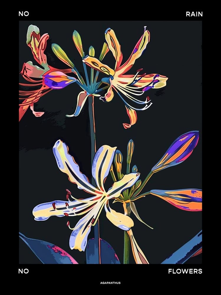 No Rain No Flowers Poster Agapanthus 4
