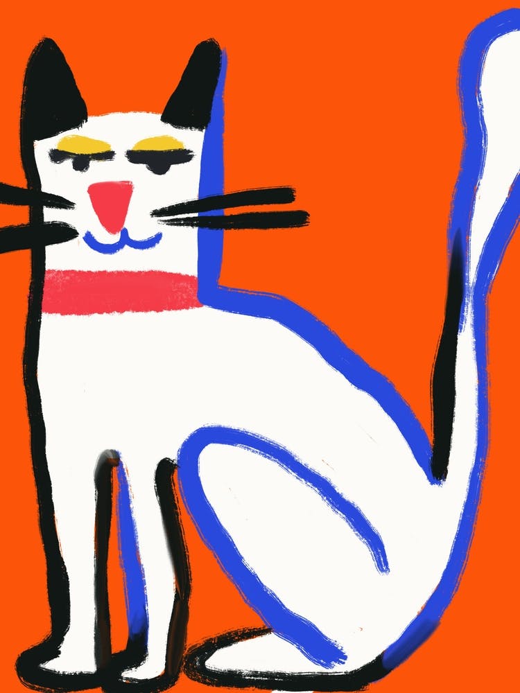 Cat On Orange Background
